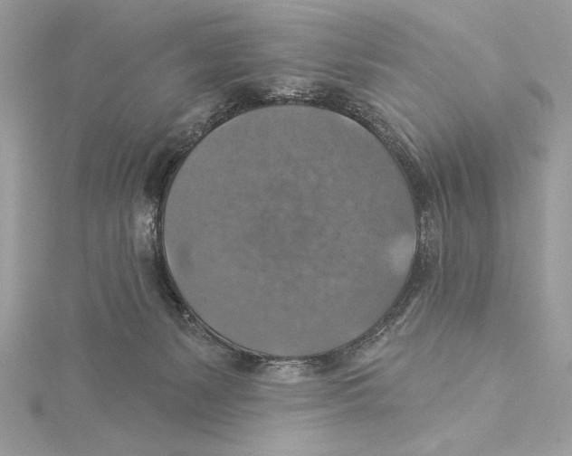 X0000115360127200912011121