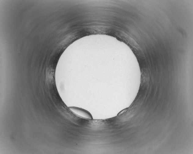 X0000115360141200912011121