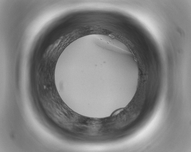X0000115360143200912011121