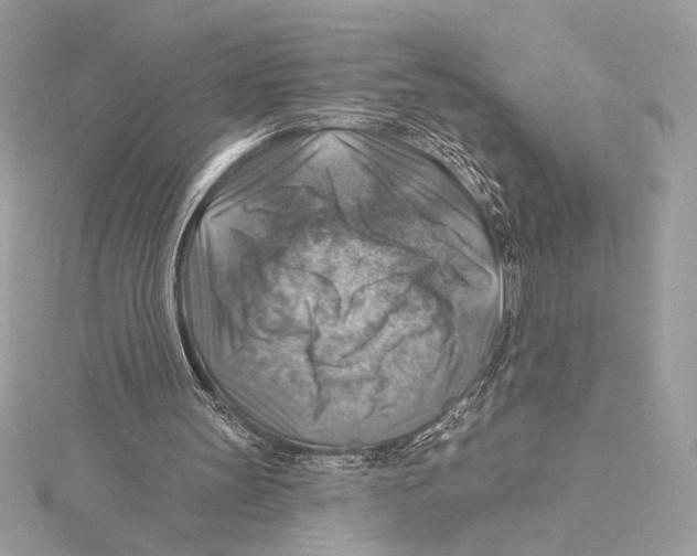 X0000115360147200912011120