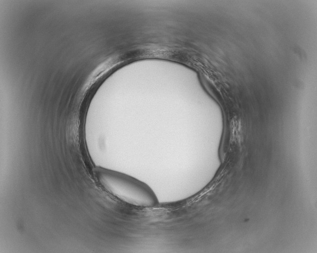 X0000115360150200912011120