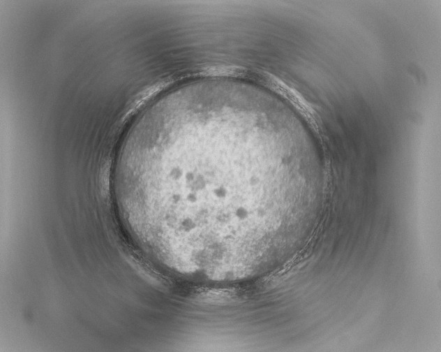 X0000115360155200912011120