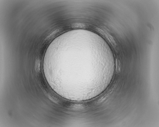 X0000115360157200912011120