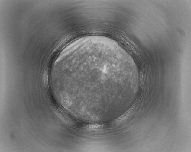 X0000115360158200912011120