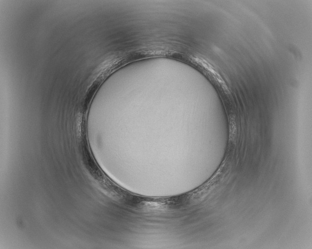 X0000115360167200912011120