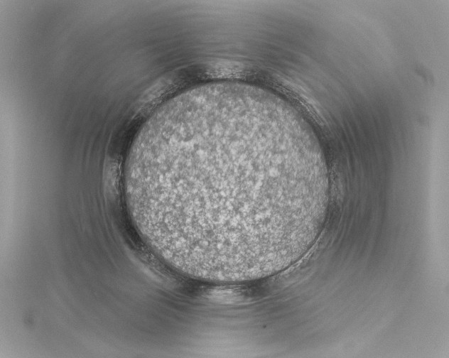 X0000115360171200912011120