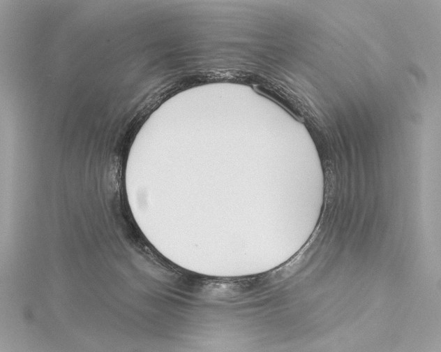 X0000115360174200912011120