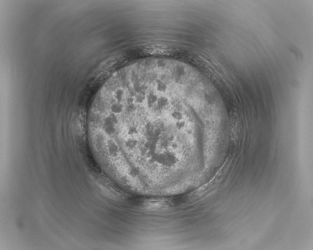 X0000115360175200912011120