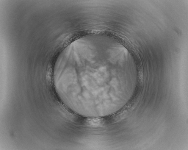 X0000115360181200912011120
