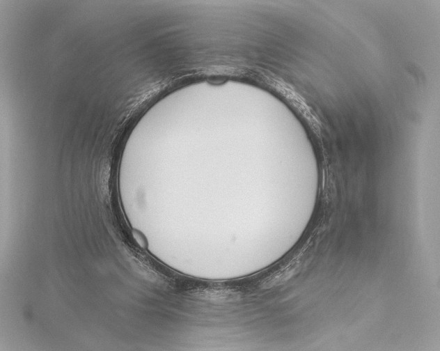 X0000115360201200912011120