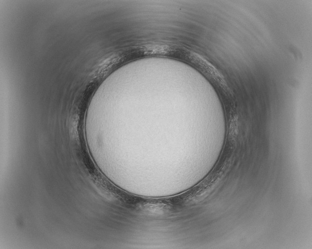 X0000115360209200912011120