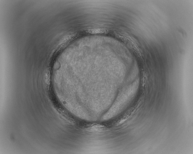 X0000115360210200912011120