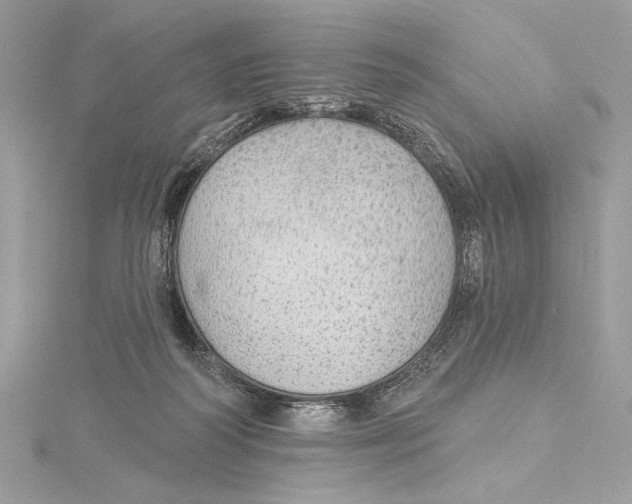 X0000115360218200912011119