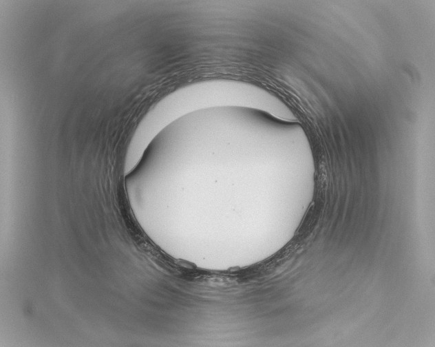 X0000115360223200912011119