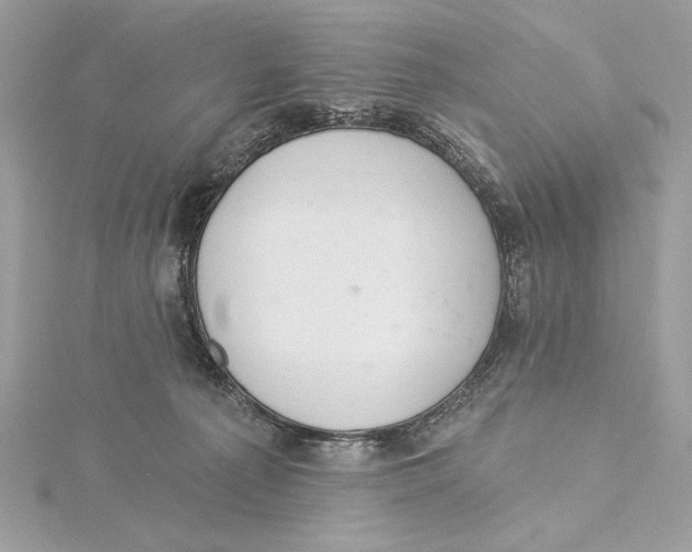 X0000115360225200912011119