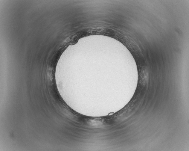 X0000115360232200912011119