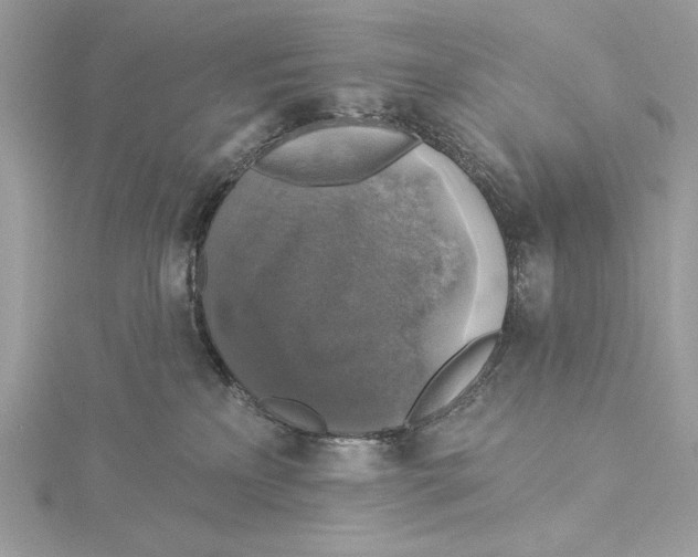 X0000115360233200912011119