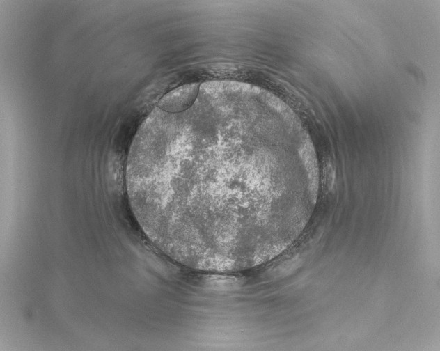 X0000115360234200912011119