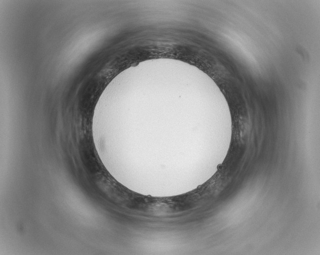 X0000115360236200912011119
