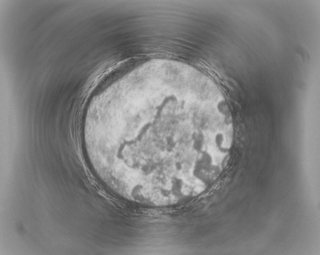 X0000115360241200912011119