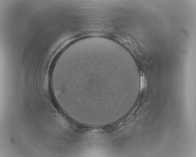 X0000115360243200912011119