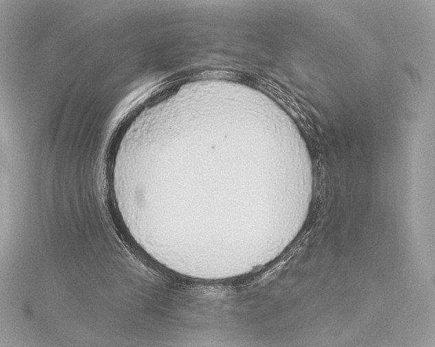 X0000115360245200912011119