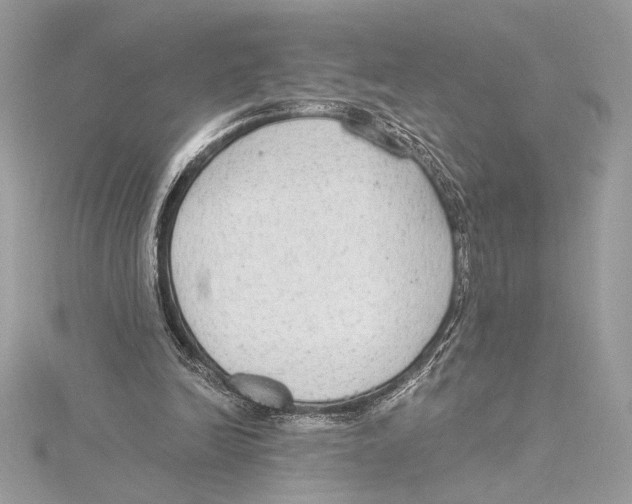 X0000115360246200912011119
