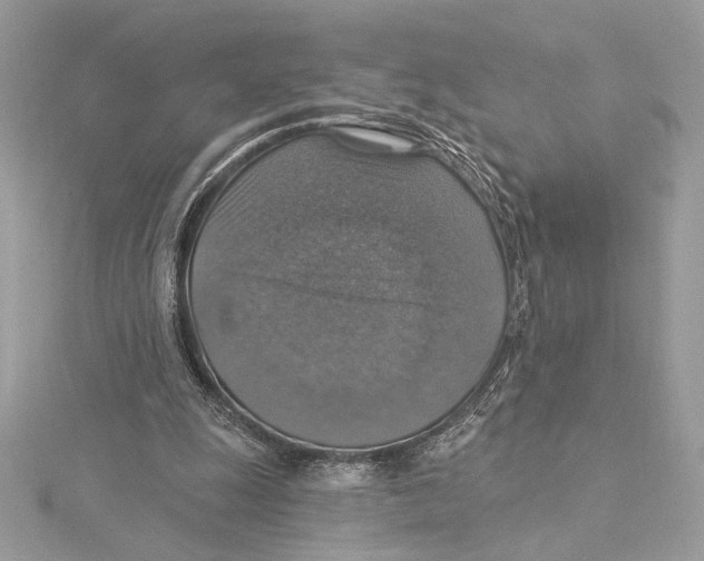 X0000115360247200912011119