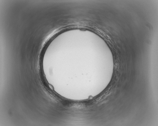 X0000115360248200912011119