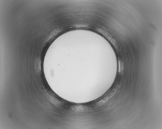 X0000115360253200912011119