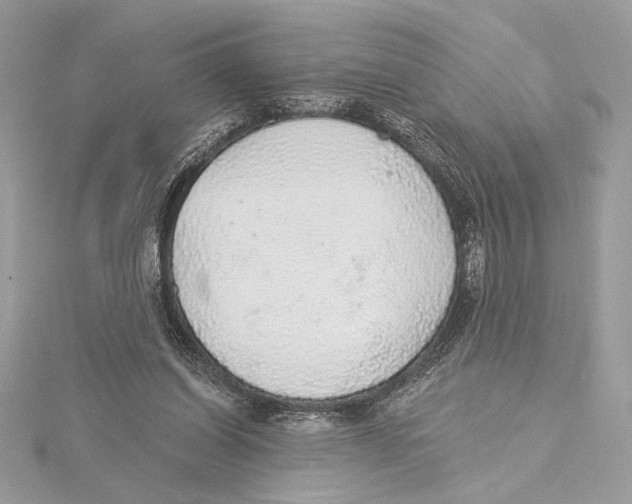 X0000115360254200912011119