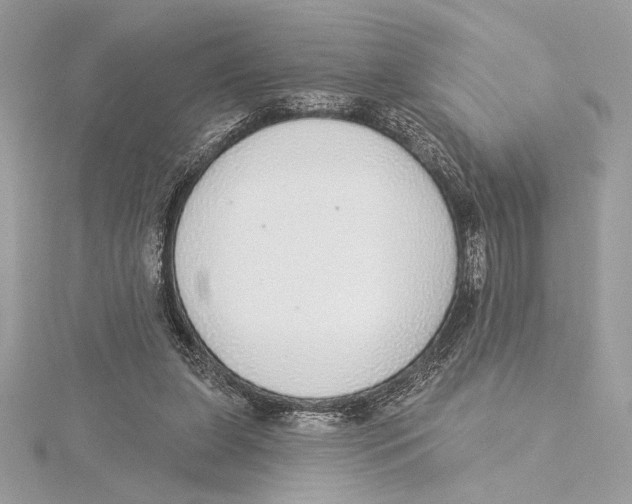 X0000115360255200912011119