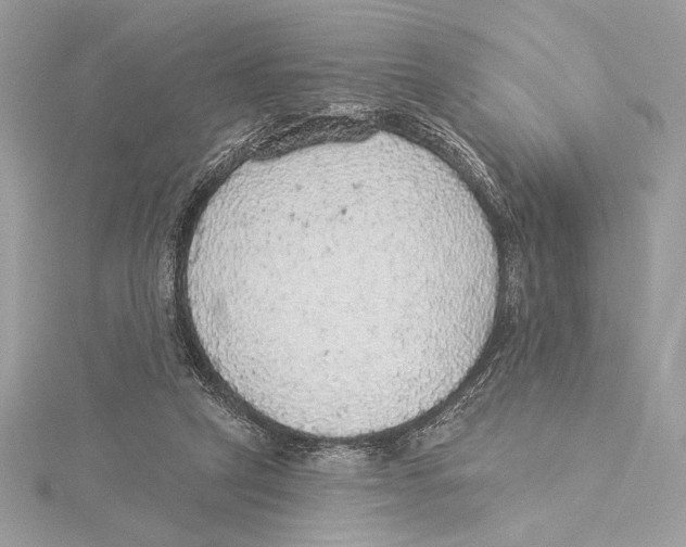 X0000115360257200912011119