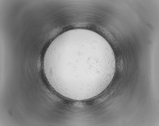 X0000115360261200912011119