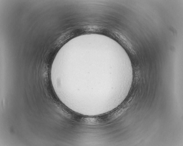 X0000115360265200912011119