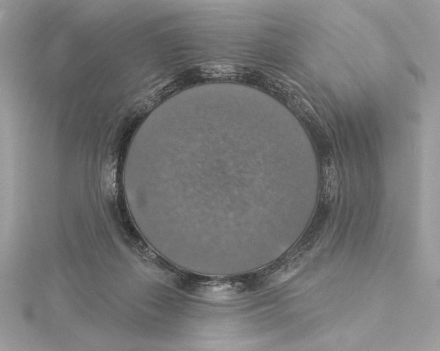 X0000115360267200912011119