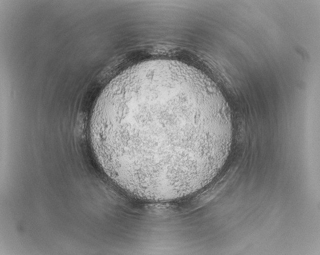 X0000115360273200912011119
