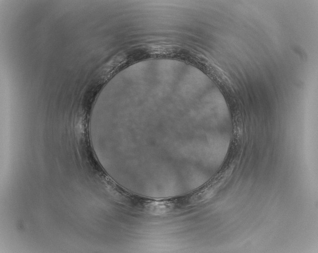 X0000115360277200912011119