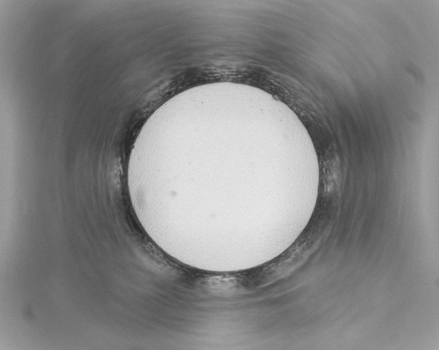 X0000115360279200912011119