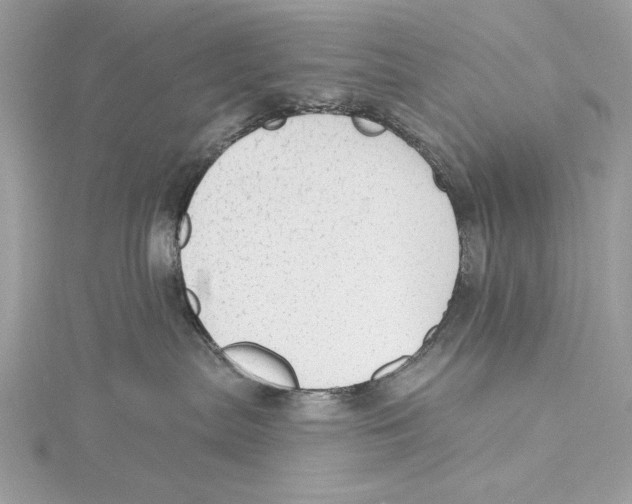X0000115360287200912011119