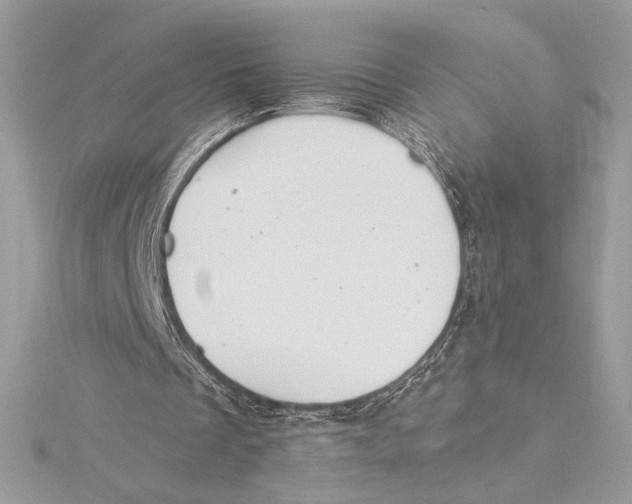 X0000115360289200912011119