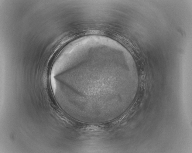X0000115360290200912011119