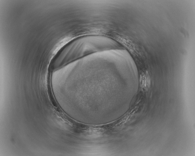 X0000115360292200912011118