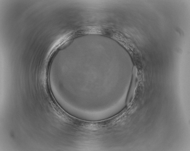 X0000115360293200912011118