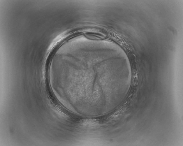 X0000115360296200912011118