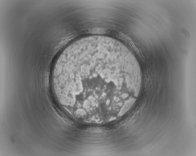 X0000115360299200912011118