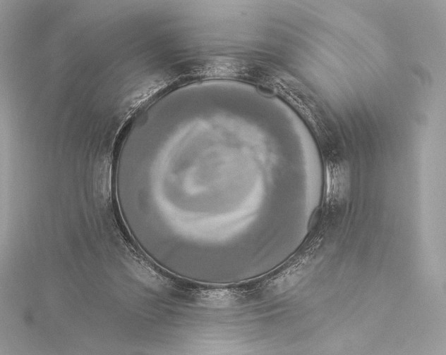 X0000115360301200912011118