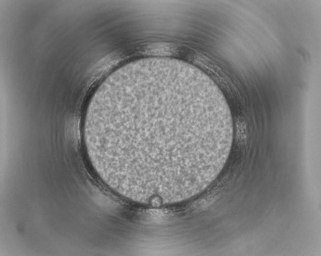 X0000115360302200912011118