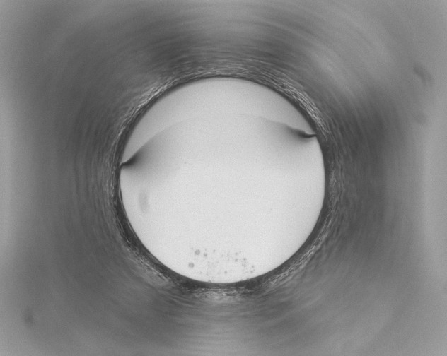 X0000115360305200912011118