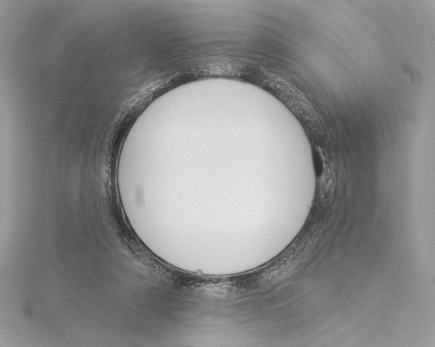 X0000115360306200912011118